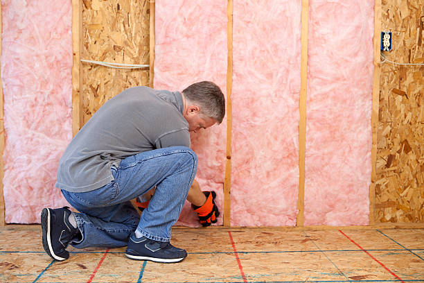 Best Residential Insulation in Los Lunas, NM