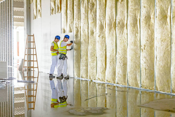 Best Types of Insulation in Los Lunas, NM